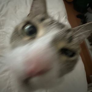 Meet your Posher, Jazmine